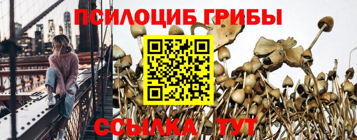 Галлюциногенные грибы прущие грибы  Вход с VPN  Галлюциногенные грибы ЛСД  Екатеринбург 
