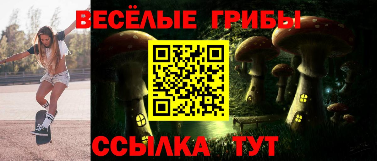 Галлюциногенные грибы GOLDEN TEACHER Екатеринбург